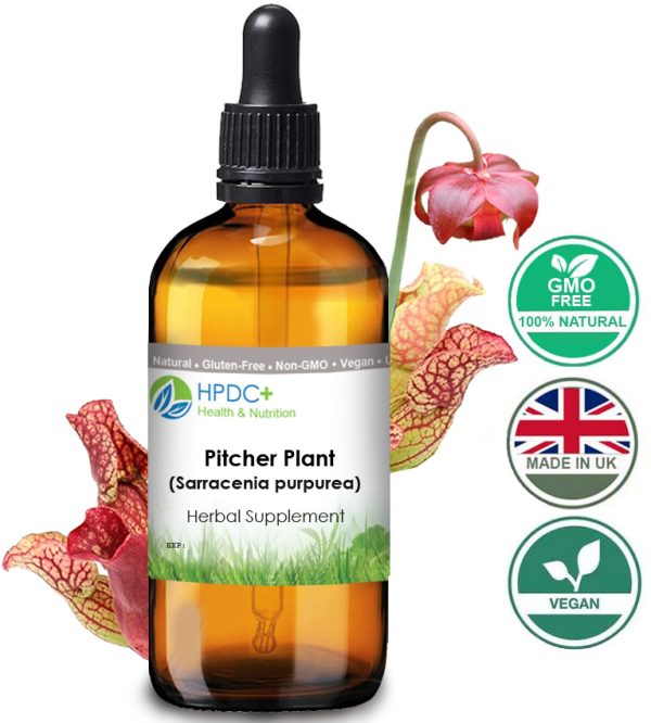 Pitcher Plant / Sarracenia Purpurea Tincture / Extract